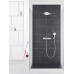 Душевой комплект Grohe Rainshower SmartControl duo 26443000